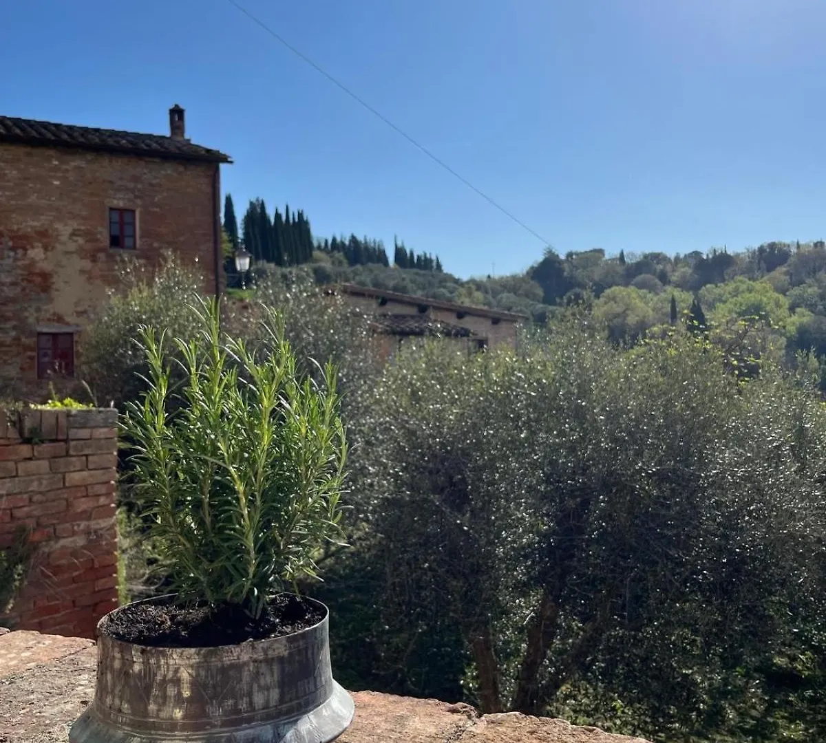 Truffle N Bed Bed & Breakfast San Giovanni d'Asso